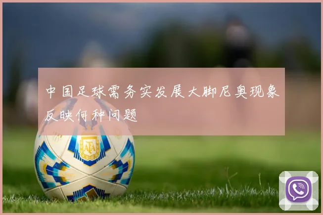 中国足球需务实发展大脚尼奥现象反映何种问题